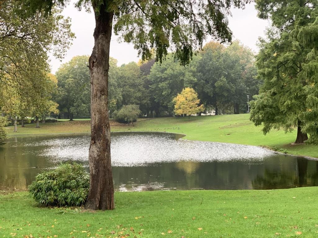 Moebliertes Wohnung Am Geroweiher Moenchengladbach Eksteriør billede